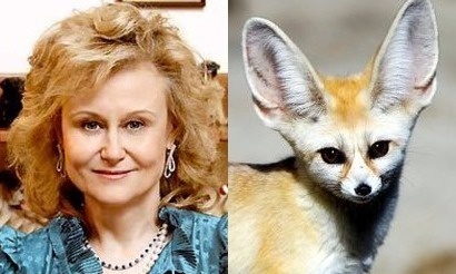 Похожие на знаменитостей люди, предметы и персонажи: Дарья Донцова и лисица Фенек